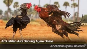 Arti Istilah Judi Sabung Ayam Online